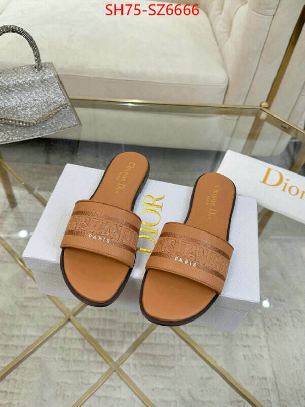Women Shoes-Dior can you buy replica ID: SZ6666 $: 75USD
