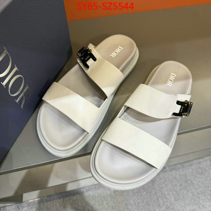 Men shoes-Dior copy aaaaa ID: SZ5544 $: 85USD
