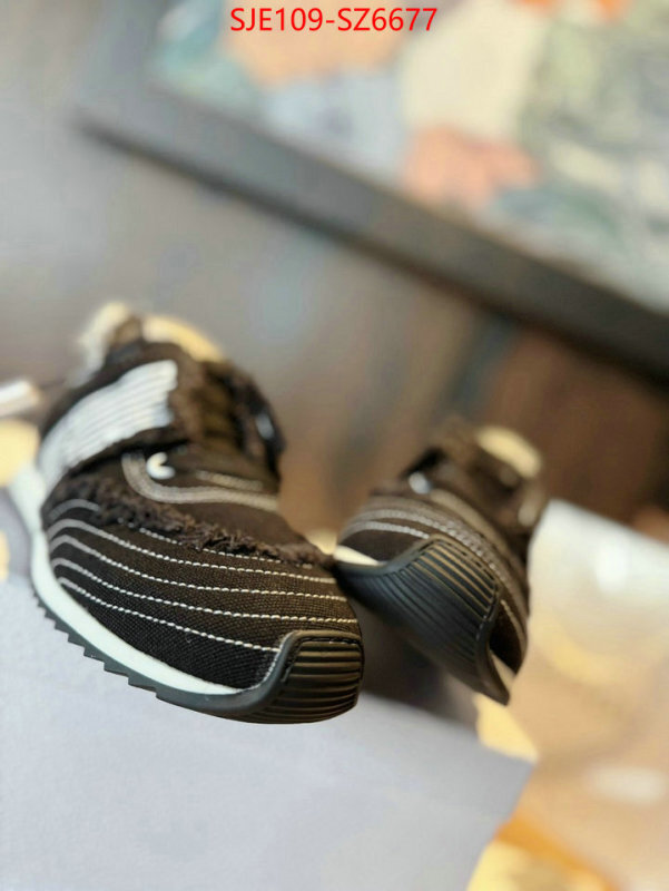 Women Shoes-Dior how to start selling replica ID: SZ6677 $: 109USD