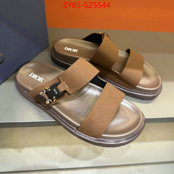 Men shoes-Dior copy aaaaa ID: SZ5544 $: 85USD