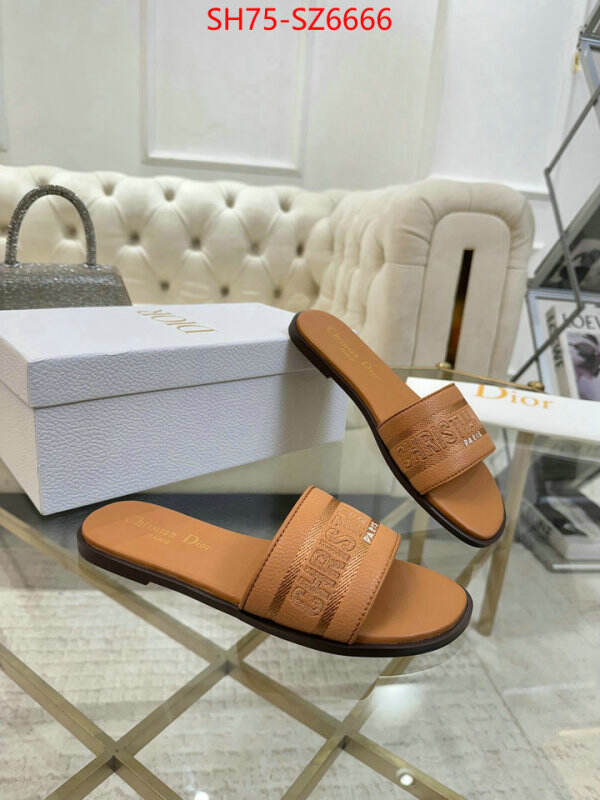 Women Shoes-Dior can you buy replica ID: SZ6666 $: 75USD