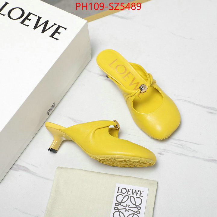 Women Shoes-Loewe best fake ID: SZ5489 $: 109USD
