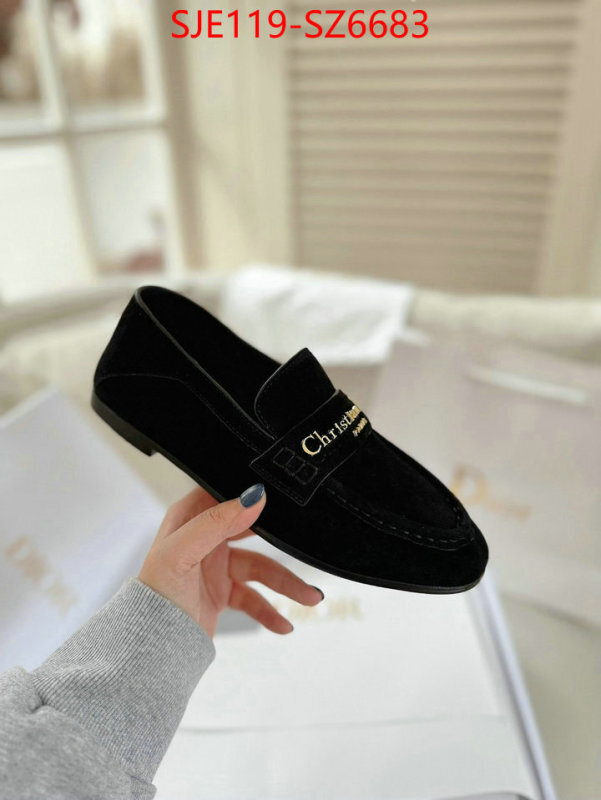 Women Shoes-Dior online shop ID: SZ6683 $: 119USD