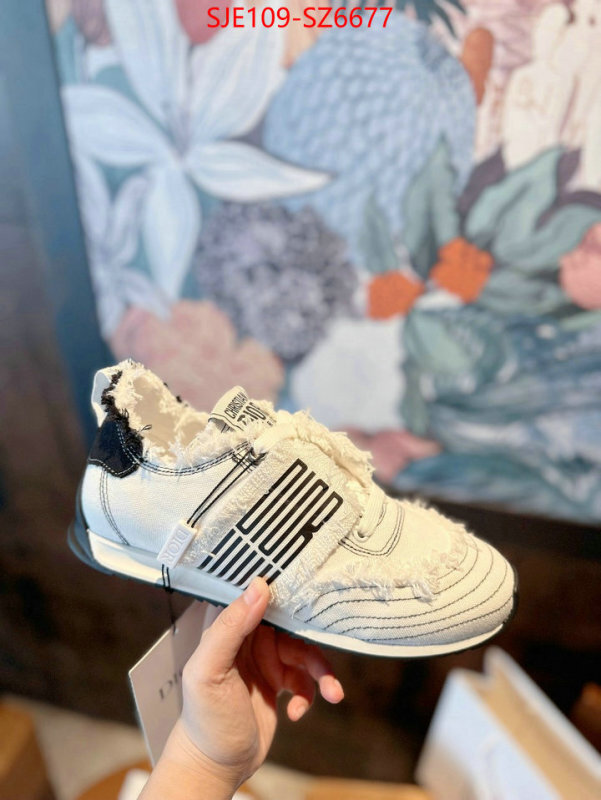Women Shoes-Dior how to start selling replica ID: SZ6677 $: 109USD