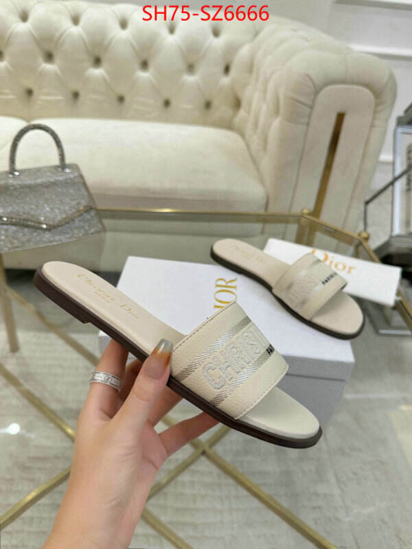 Women Shoes-Dior can you buy replica ID: SZ6666 $: 75USD