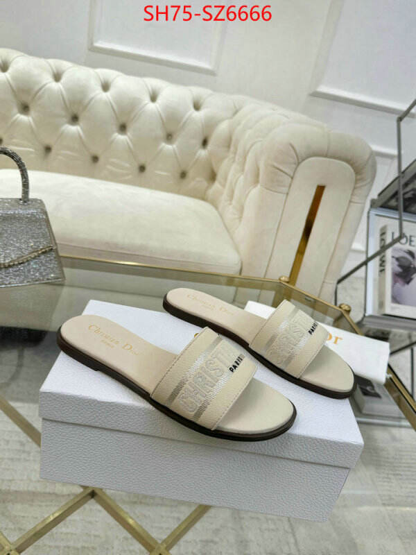 Women Shoes-Dior can you buy replica ID: SZ6666 $: 75USD