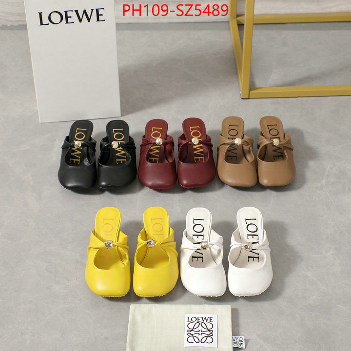 Women Shoes-Loewe best fake ID: SZ5489 $: 109USD