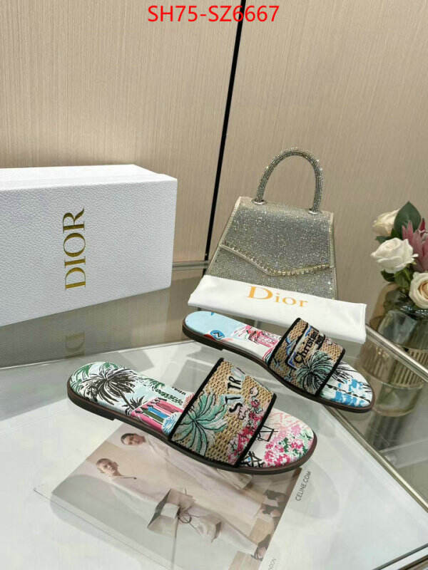 Women Shoes-Dior sale outlet online ID: SZ6667 $: 75USD