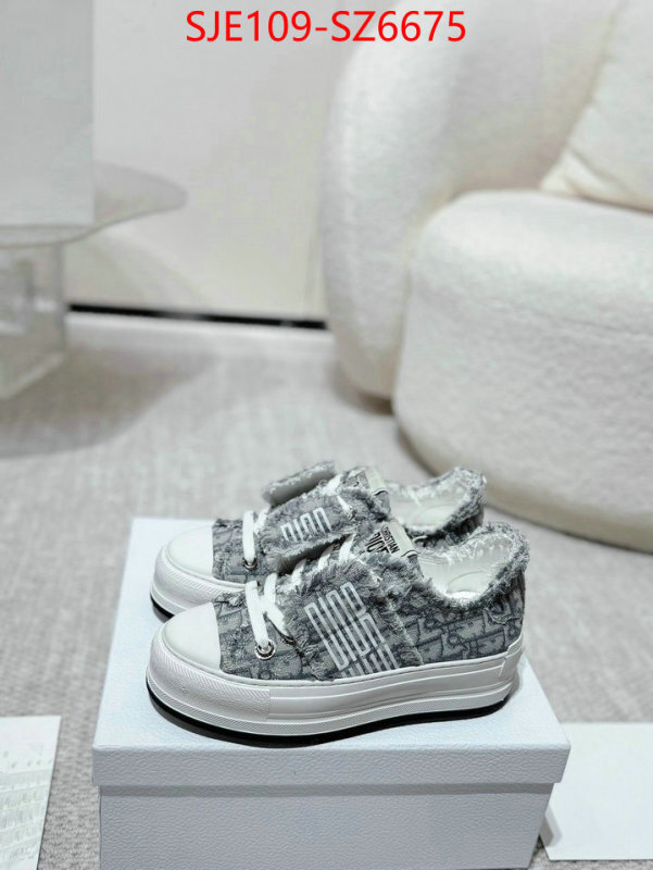 Women Shoes-Dior mirror copy luxury ID: SZ6675 $: 109USD