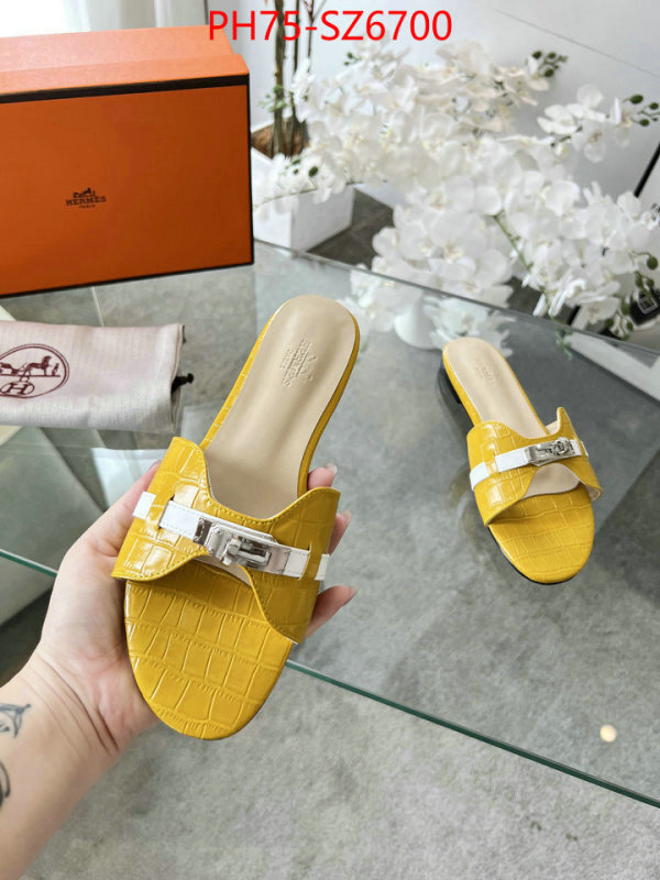 Women Shoes-Hermes cheap wholesale ID: SZ6700 $: 75USD