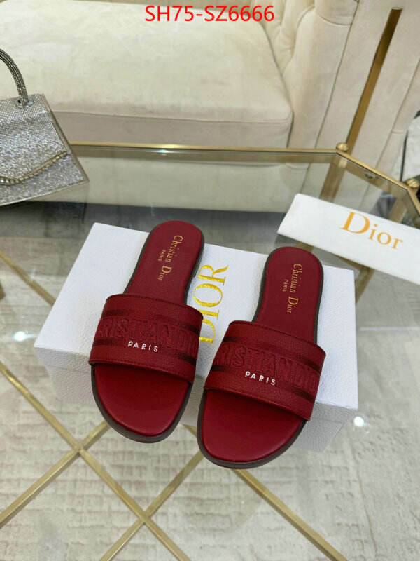 Women Shoes-Dior can you buy replica ID: SZ6666 $: 75USD