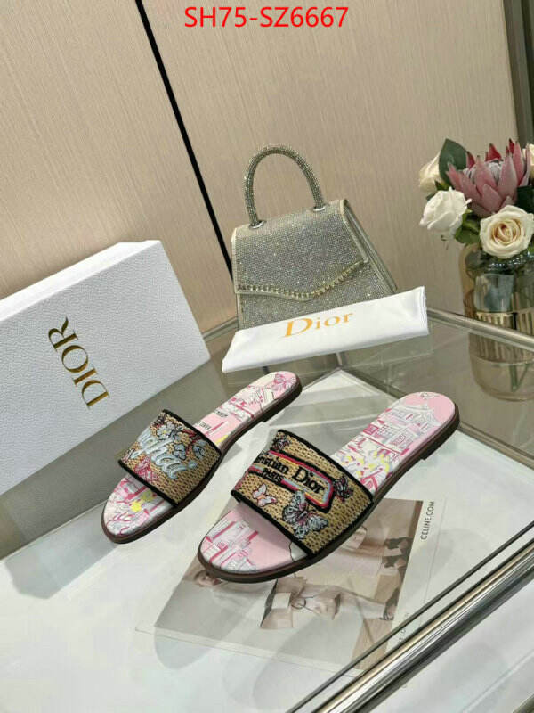 Women Shoes-Dior sale outlet online ID: SZ6667 $: 75USD