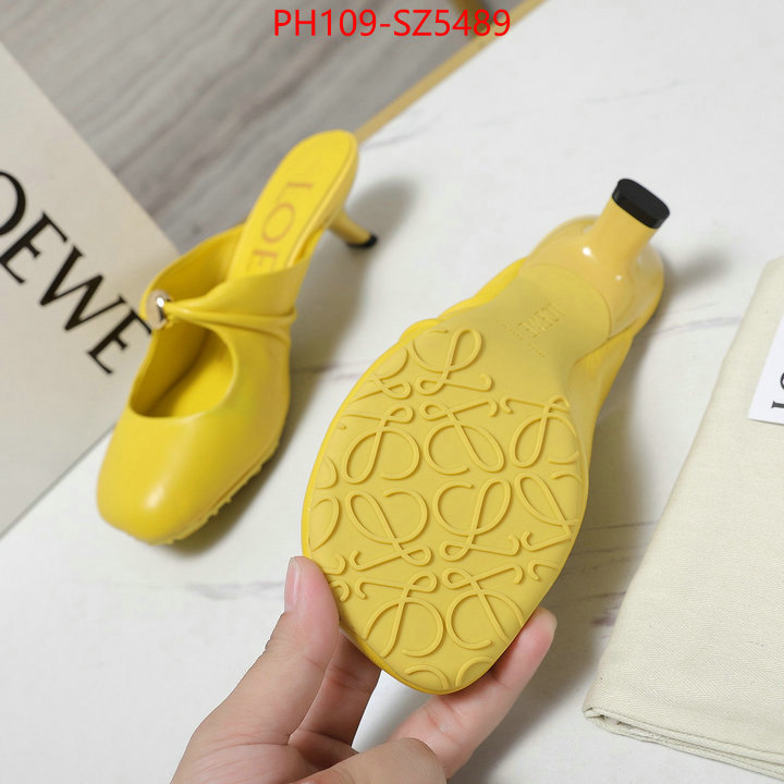 Women Shoes-Loewe best fake ID: SZ5489 $: 109USD