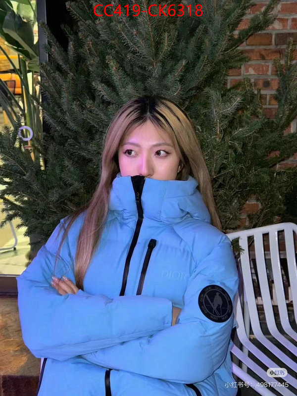 Down jacket Women-Dior wholesale sale ID: CK6318 $: 419USD