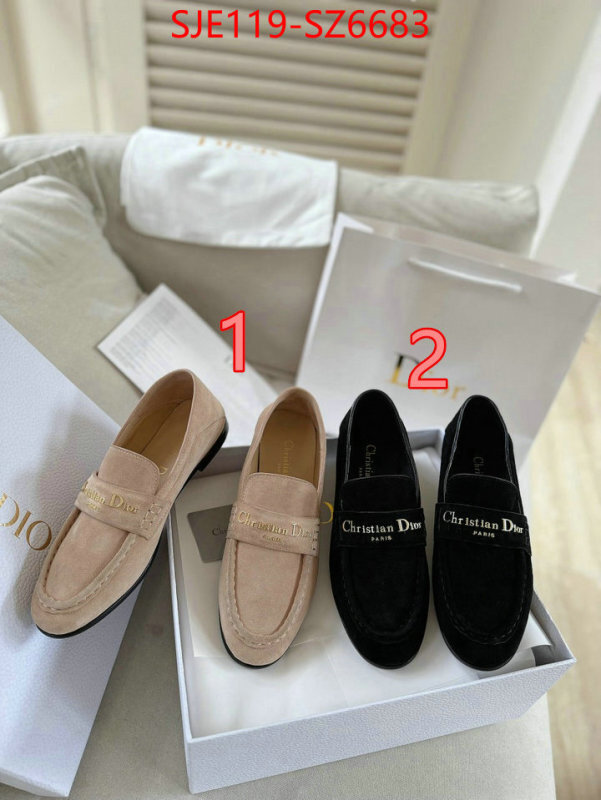 Women Shoes-Dior online shop ID: SZ6683 $: 119USD