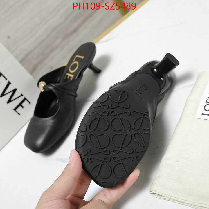 Women Shoes-Loewe best fake ID: SZ5489 $: 109USD