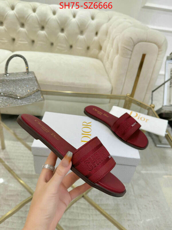 Women Shoes-Dior can you buy replica ID: SZ6666 $: 75USD