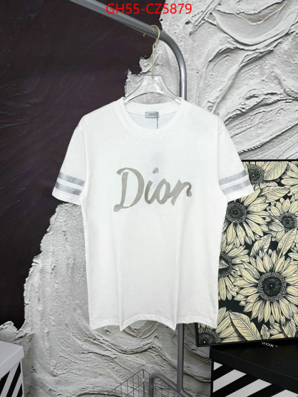 Clothing-Dior 7 star quality designer replica ID: CZ5879 $: 55USD