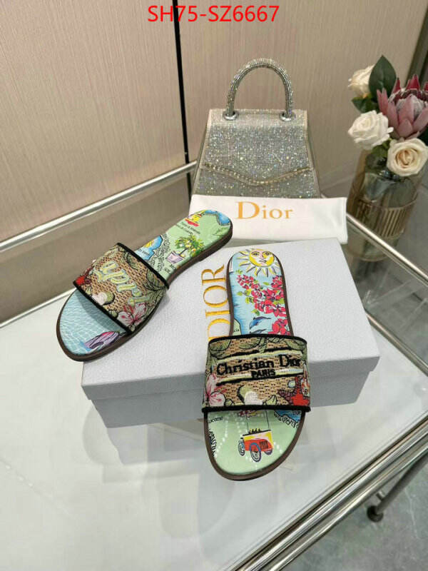 Women Shoes-Dior sale outlet online ID: SZ6667 $: 75USD