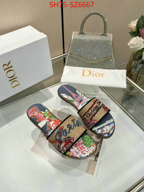 Women Shoes-Dior sale outlet online ID: SZ6667 $: 75USD