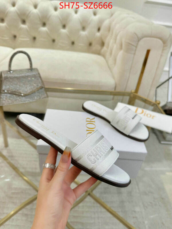 Women Shoes-Dior can you buy replica ID: SZ6666 $: 75USD