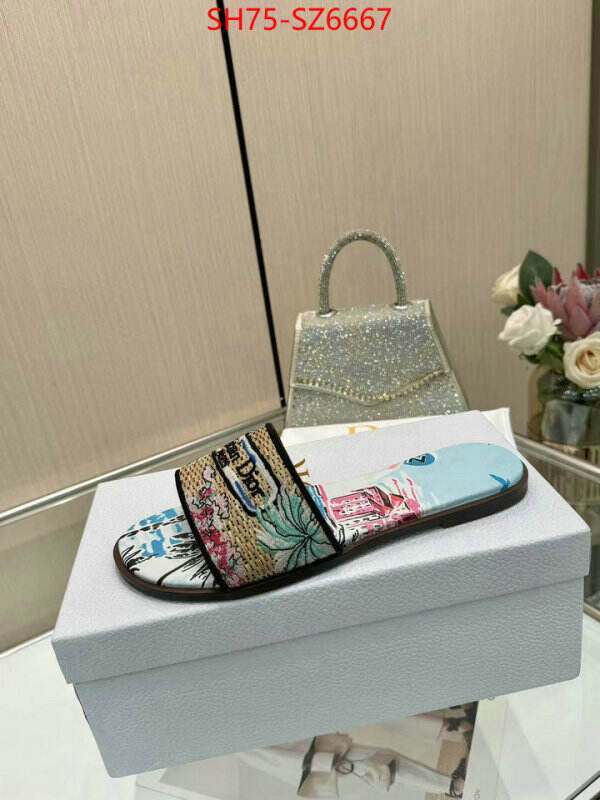 Women Shoes-Dior sale outlet online ID: SZ6667 $: 75USD