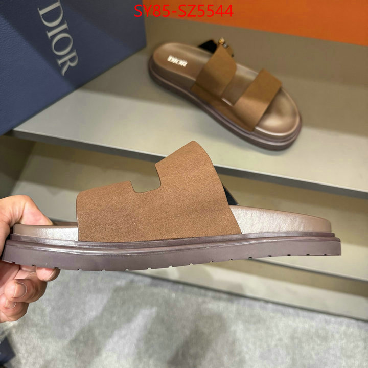 Men shoes-Dior copy aaaaa ID: SZ5544 $: 85USD