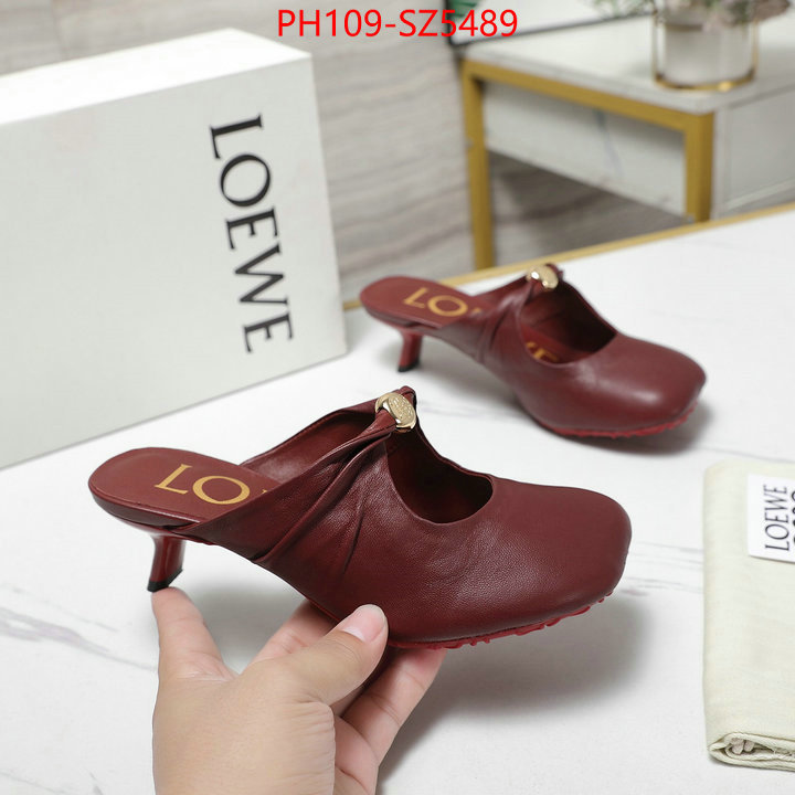 Women Shoes-Loewe best fake ID: SZ5489 $: 109USD
