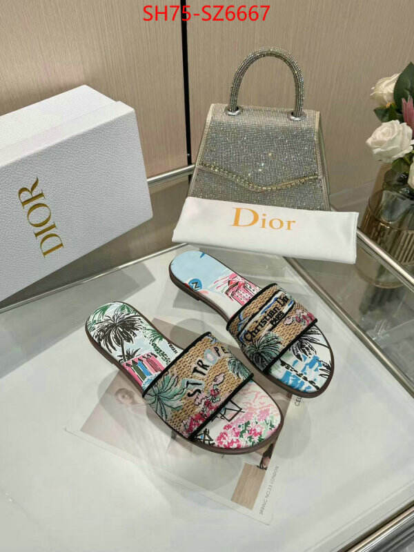 Women Shoes-Dior sale outlet online ID: SZ6667 $: 75USD