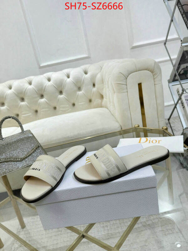 Women Shoes-Dior can you buy replica ID: SZ6666 $: 75USD