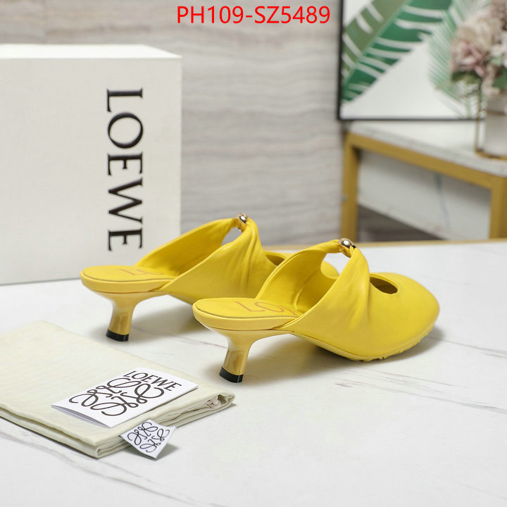 Women Shoes-Loewe best fake ID: SZ5489 $: 109USD