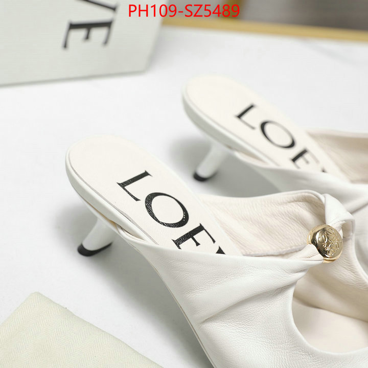 Women Shoes-Loewe best fake ID: SZ5489 $: 109USD