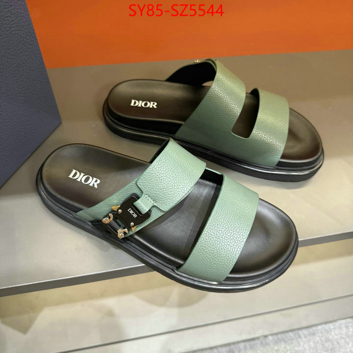 Men shoes-Dior copy aaaaa ID: SZ5544 $: 85USD