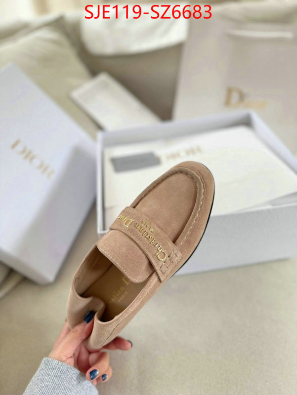 Women Shoes-Dior online shop ID: SZ6683 $: 119USD
