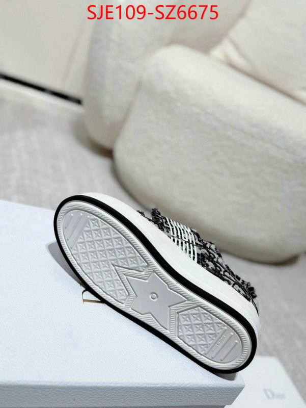 Women Shoes-Dior mirror copy luxury ID: SZ6675 $: 109USD