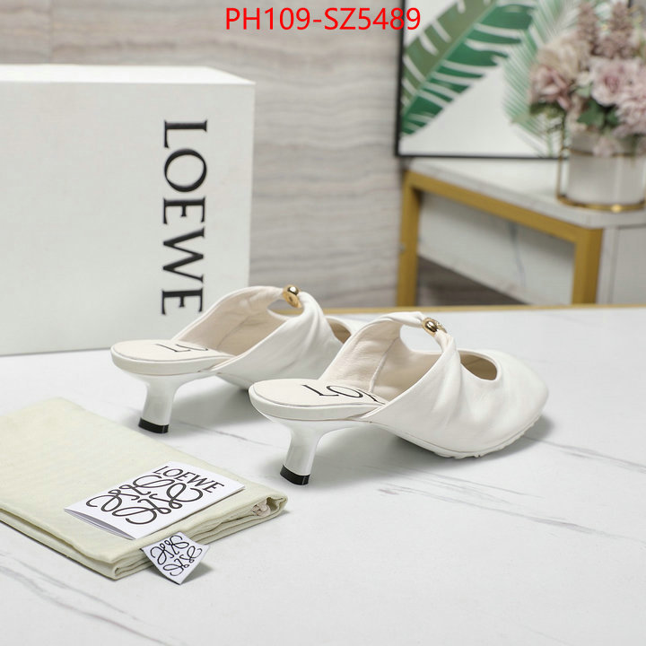Women Shoes-Loewe best fake ID: SZ5489 $: 109USD