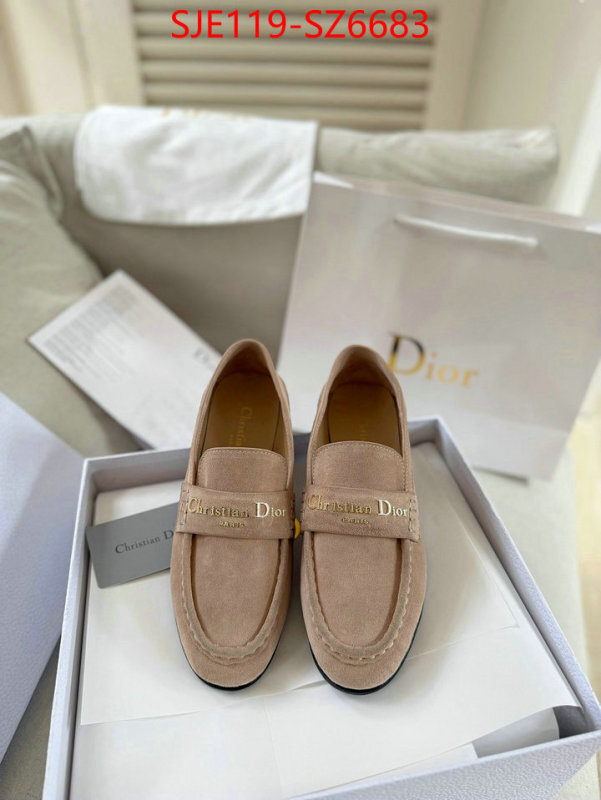 Women Shoes-Dior online shop ID: SZ6683 $: 119USD