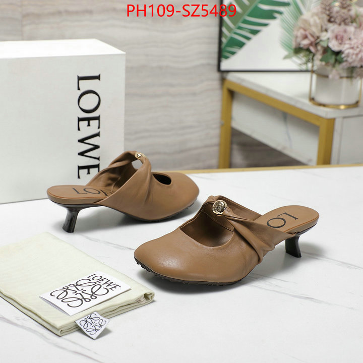 Women Shoes-Loewe best fake ID: SZ5489 $: 109USD