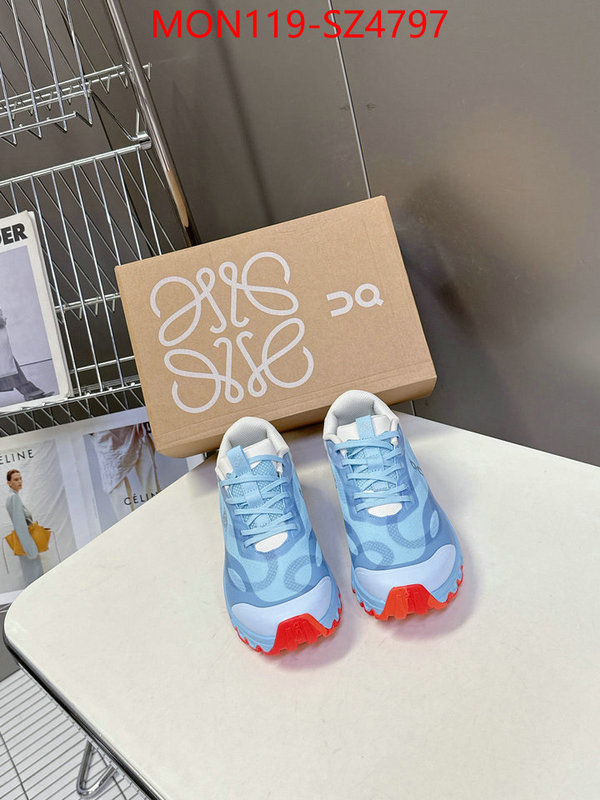 Women Shoes-Loewe online ID: SZ4797 $: 119USD
