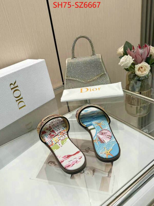 Women Shoes-Dior sale outlet online ID: SZ6667 $: 75USD