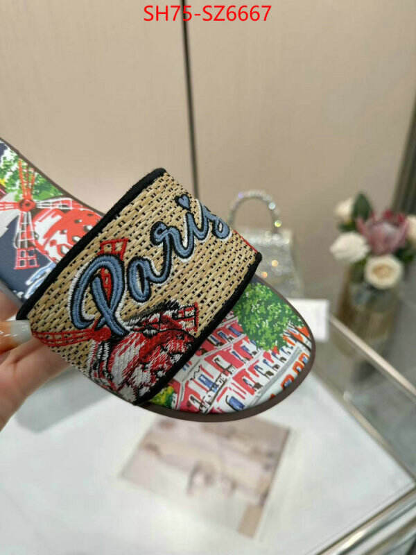 Women Shoes-Dior sale outlet online ID: SZ6667 $: 75USD