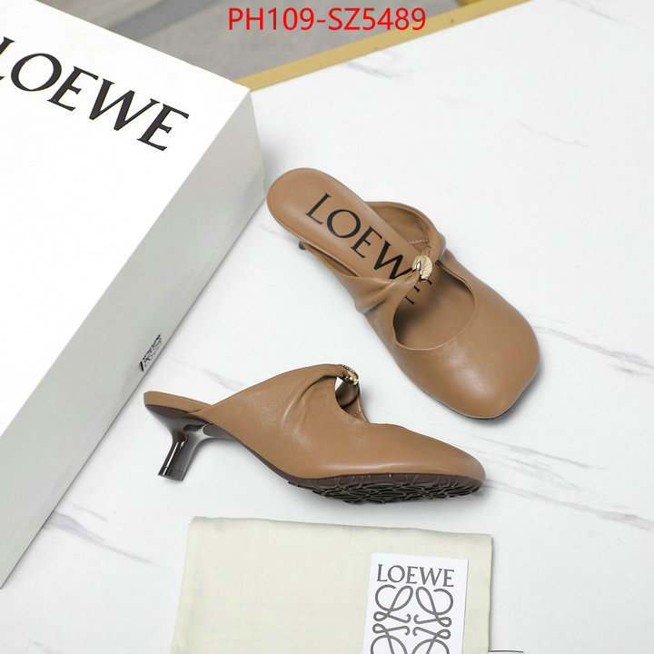 Women Shoes-Loewe best fake ID: SZ5489 $: 109USD