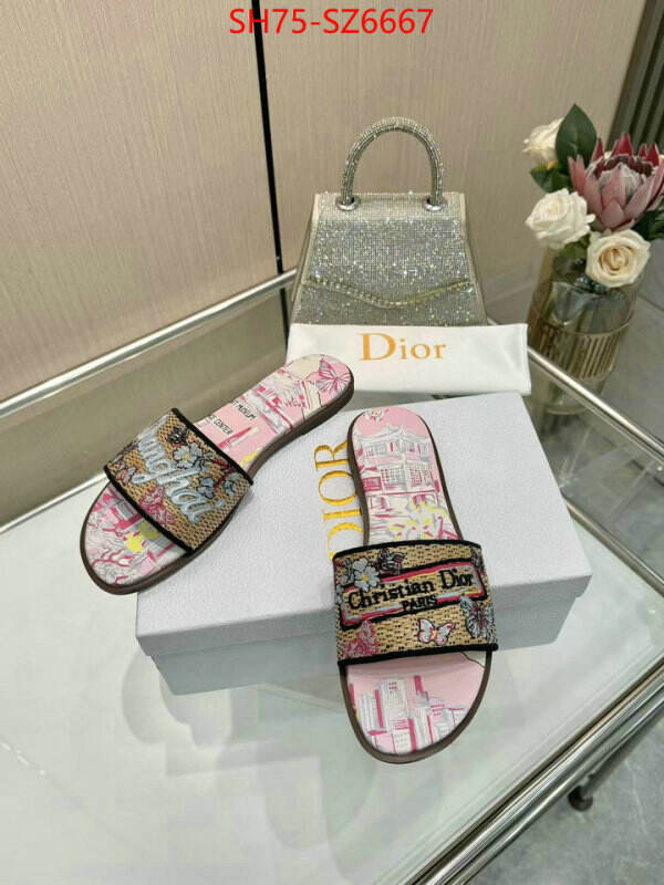 Women Shoes-Dior sale outlet online ID: SZ6667 $: 75USD