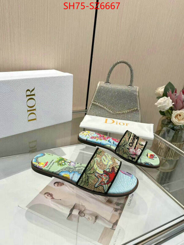 Women Shoes-Dior sale outlet online ID: SZ6667 $: 75USD