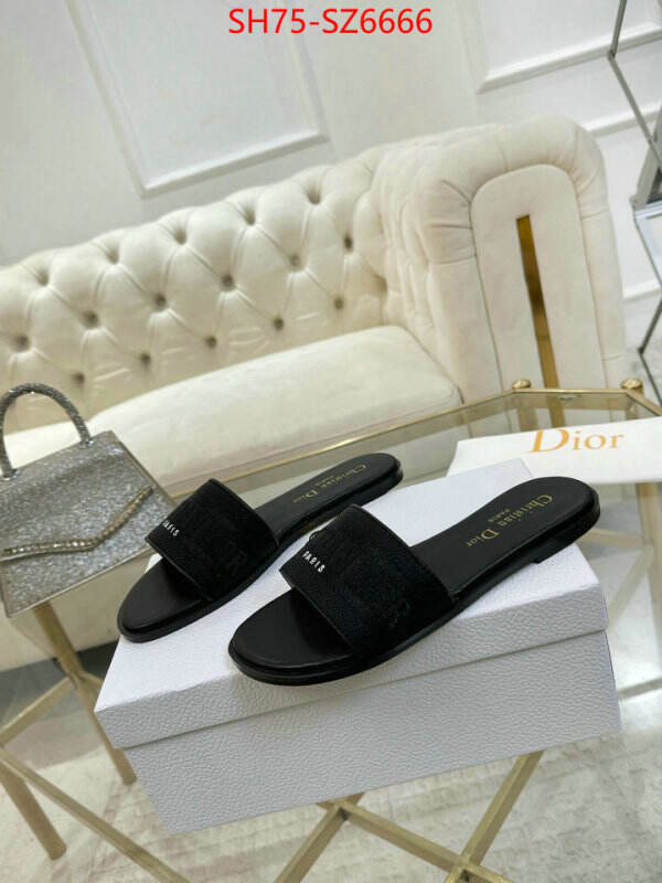 Women Shoes-Dior can you buy replica ID: SZ6666 $: 75USD