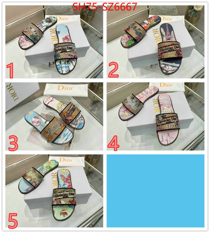 Women Shoes-Dior sale outlet online ID: SZ6667 $: 75USD