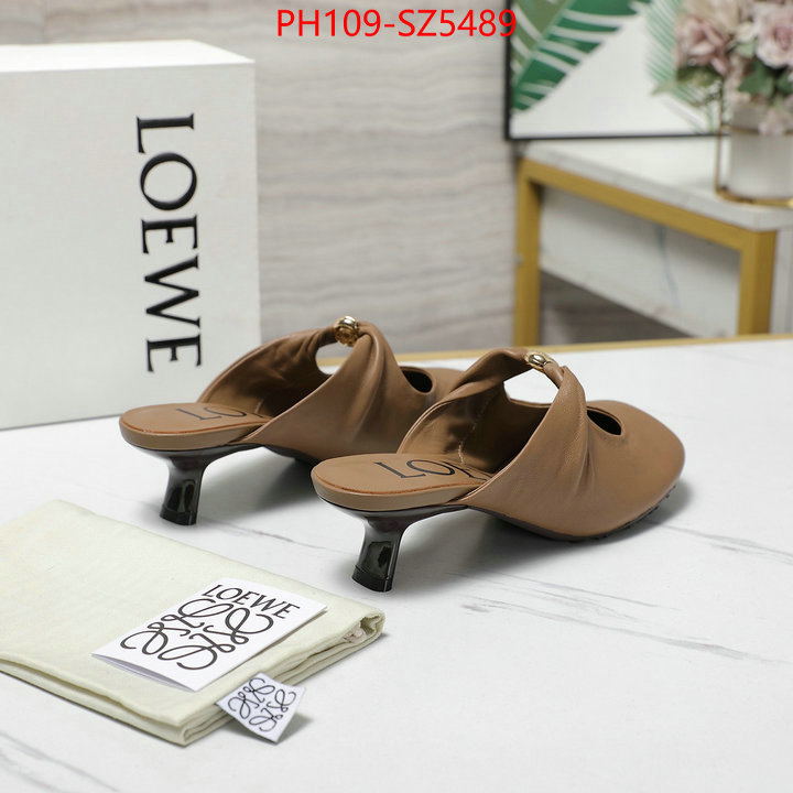 Women Shoes-Loewe best fake ID: SZ5489 $: 109USD