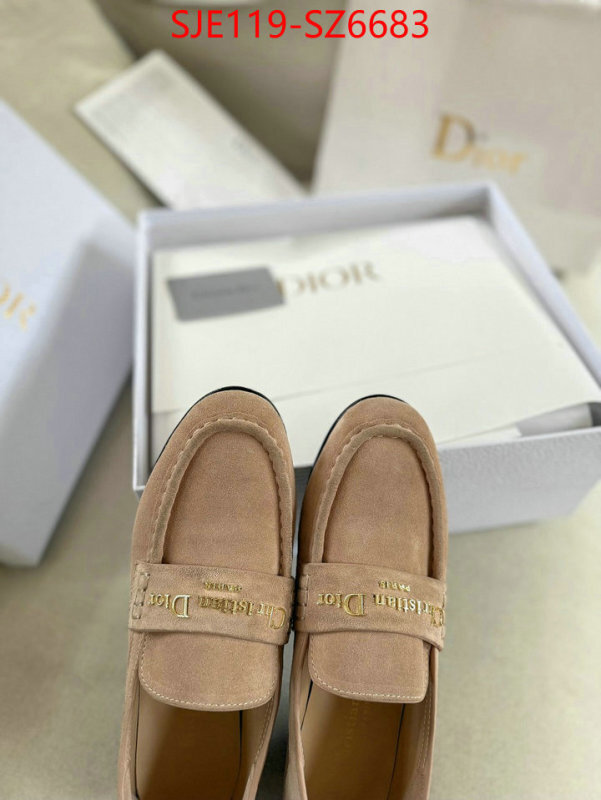 Women Shoes-Dior online shop ID: SZ6683 $: 119USD