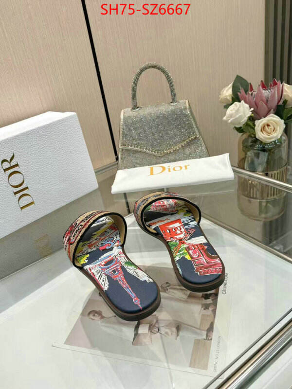 Women Shoes-Dior sale outlet online ID: SZ6667 $: 75USD