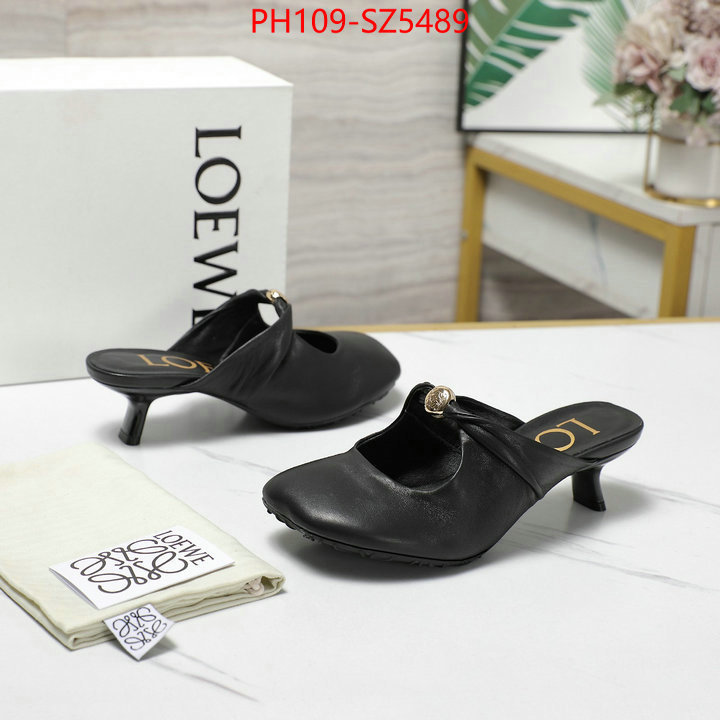 Women Shoes-Loewe best fake ID: SZ5489 $: 109USD